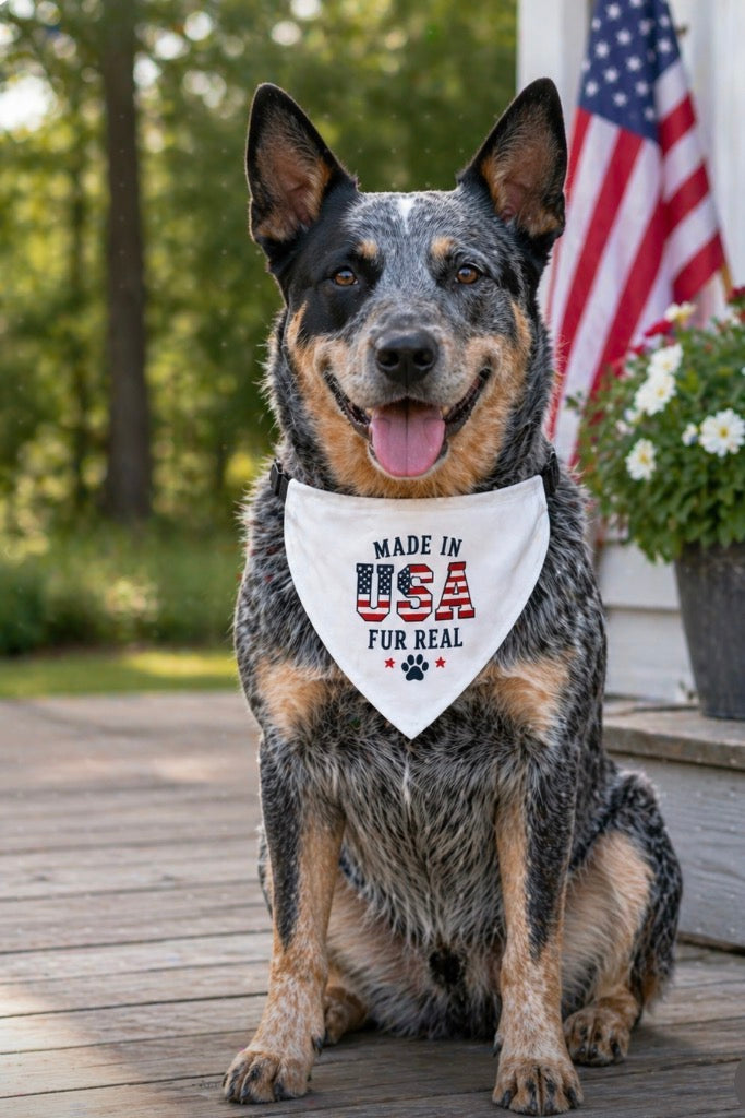 Made in USA Pet Bandana – Clip-On Patriotic Dog bandana