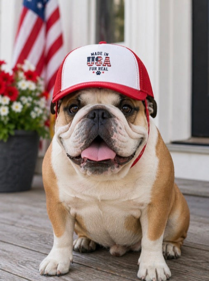 Dog Foam Trucker Hat- made in USA